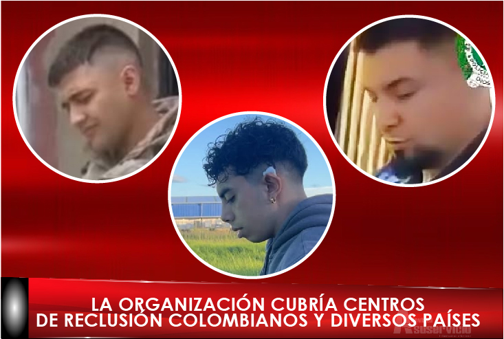 Red de narcotráfico que instrumentalizaba a mujeres fue desarticulada