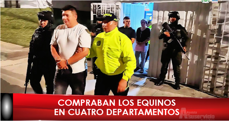 Sacrificaban caballos enfermos para vender su carne como res