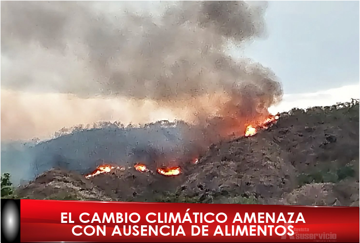 Nombre de noticia