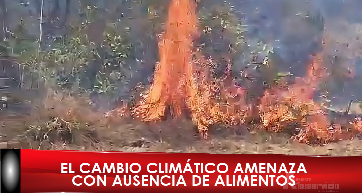 Calor extremo y lluvias fuertes: una crisis que afecta el bolsillo