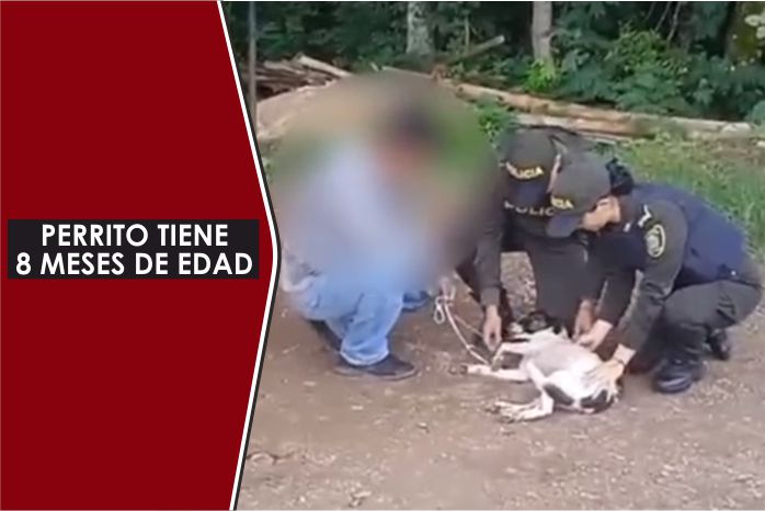 Hombre le disparó a un canino