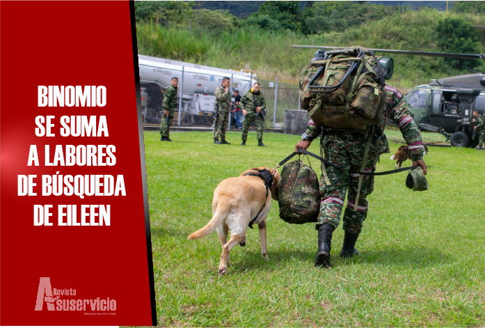 Canino entrenado para buscar personas intentará rastrear a Eileen