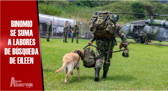 Canino entrenado para buscar personas intentará rastrear a Eileen