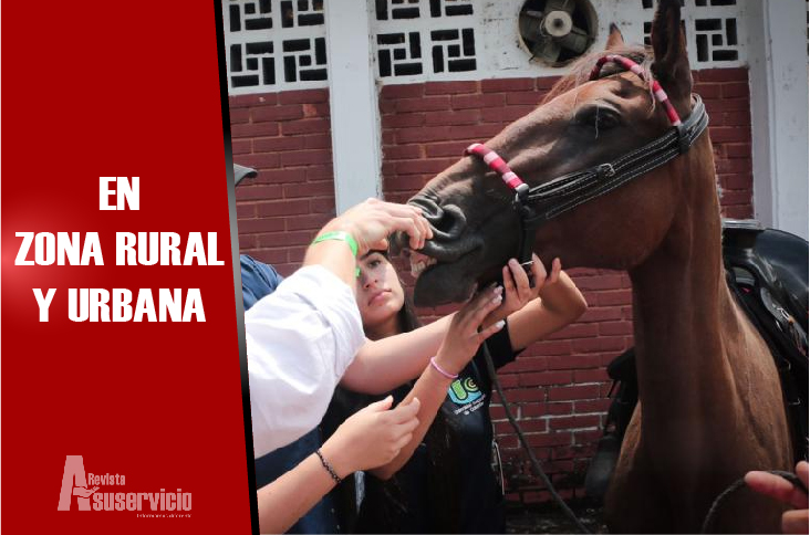 Fallo judicial prohibió cabalgatas durante el Festival Folclórico Colombiano 