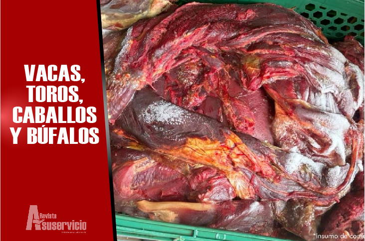 Compraban animales muertos o enfermos y vendían la carne como buena