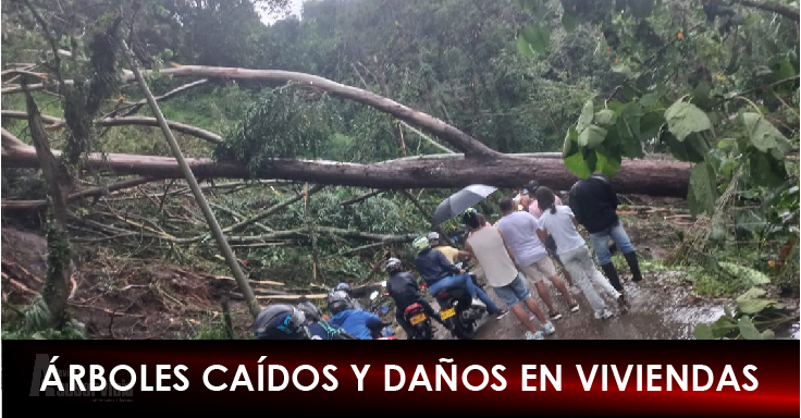 Emergencia en el Cañón del Combeima en Ibagué por fuertes lluvias
