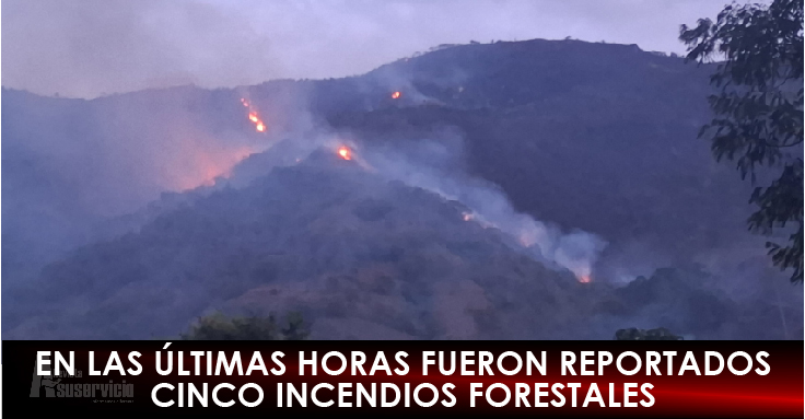Alerta roja en 28 municipios del Tolima por ola de calor