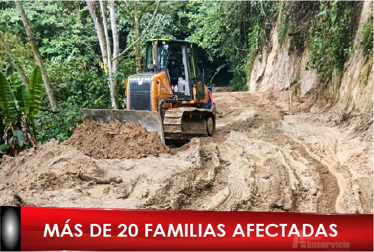 Deslizamientos de tierra y caída de árboles por fuertes lluvias en Ibagué